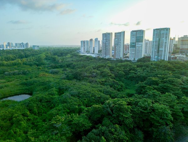 Comment réaliser un tour du monde en bateau ?